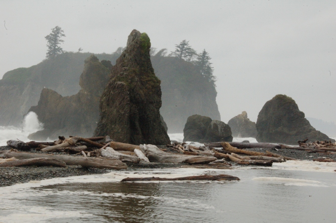Ruby Beach sea stacks in fog